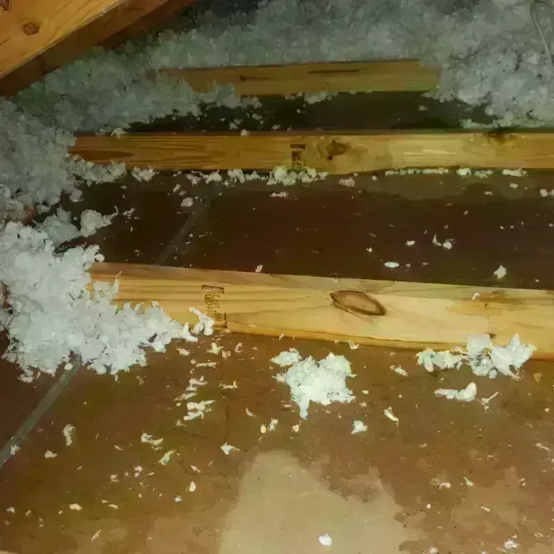 Attic Water Damage in Potosi, TX